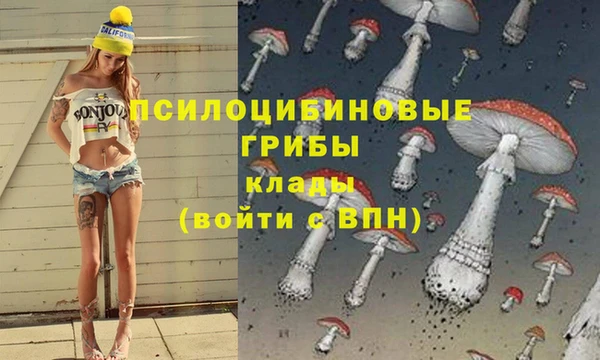наркотики Богородск