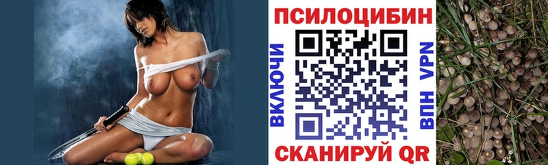 Псилоцибиновые грибы MAGIC MUSHROOMS  Жуковский 